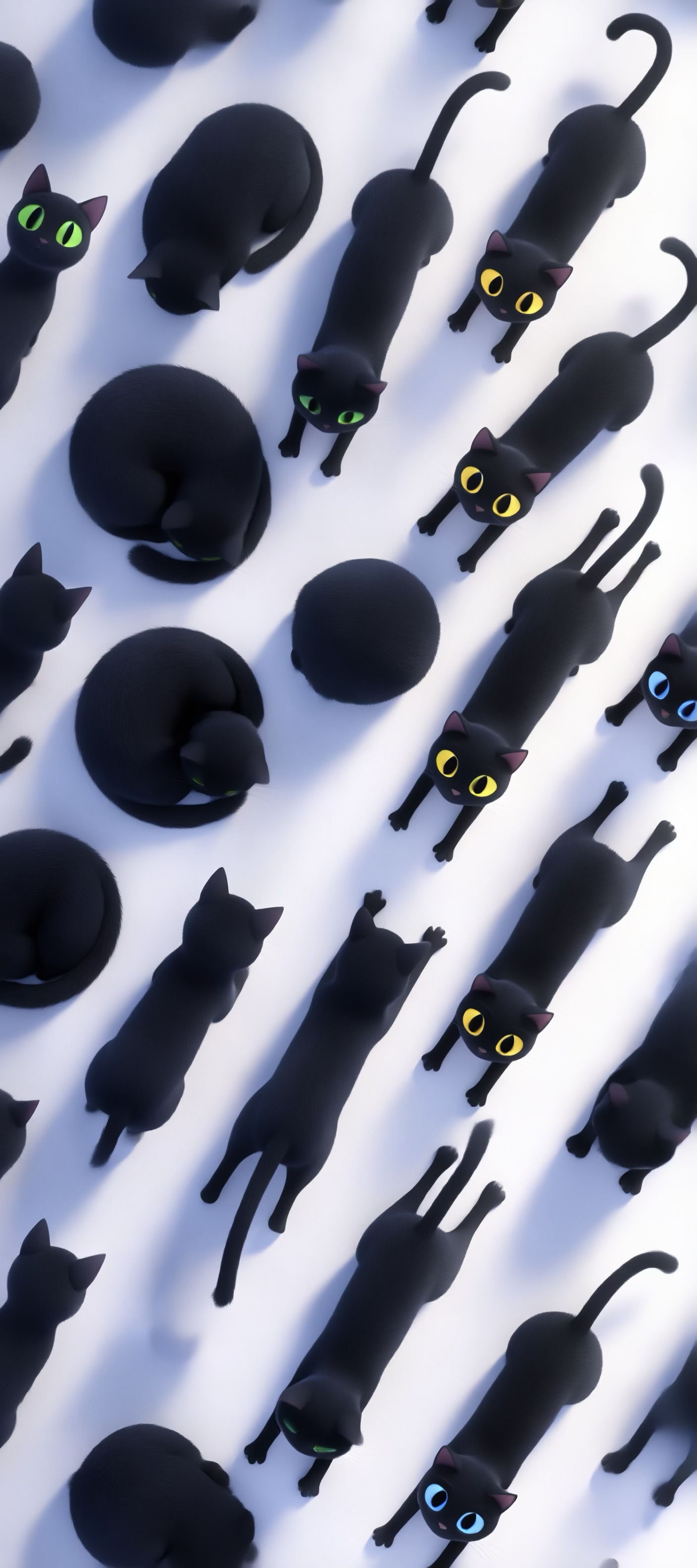 Black cats